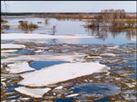 Паводок, Томские новости, За сутки уровень воды в реке Томи опустился на 28 сантиметров За сутки уровень воды в реке Томи опустился на 28 сантиметров