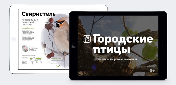 Конкурсы и акции, Томские новости, Завтра в Томске представят приложение для наблюдения за городскими птицами Завтра в Томске представят приложение для наблюдения за городскими птицами