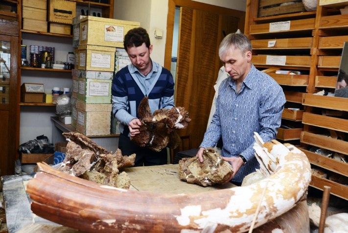 Образование и наука, Томские новости, В Томске создадут виртуальную экспозицию древних животных В Томске создадут виртуальную экспозицию древних животных