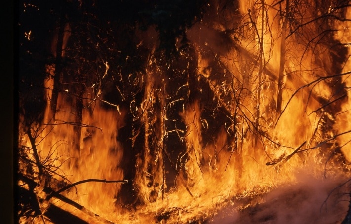 Лесные пожары, Томские новости, В Томской области горит больше 1 000 га леса В Томской области горит больше 1 000 га леса