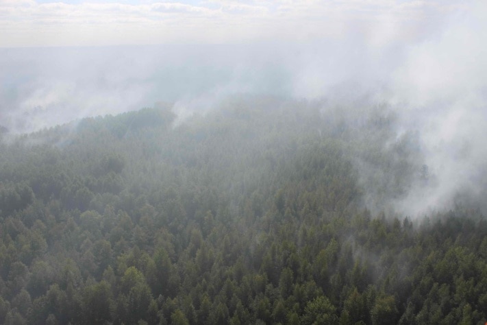Лесные пожары, Томские новости, Лесные пожары в Томской области взяли под особый контроль Лесные пожары в Томской области взяли под особый контроль