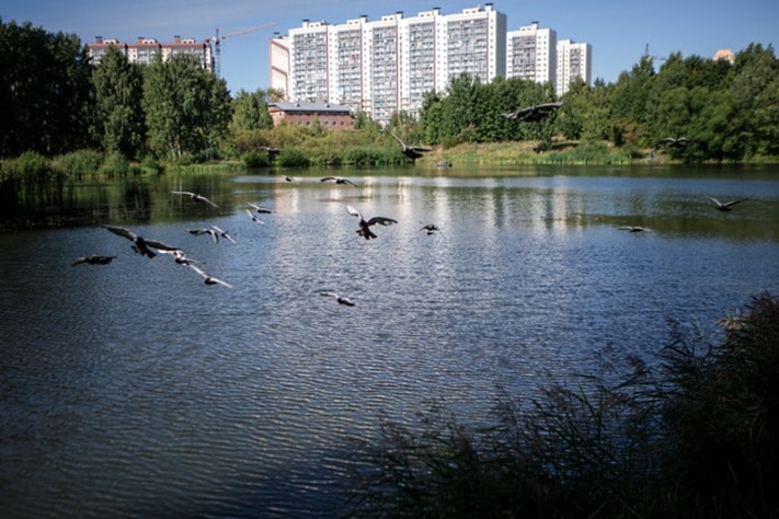 Томские новости, В Томске в районе Ботанического озера оборудуют зону отдыха В Томске в районе Ботанического озера оборудуют зону отдыха