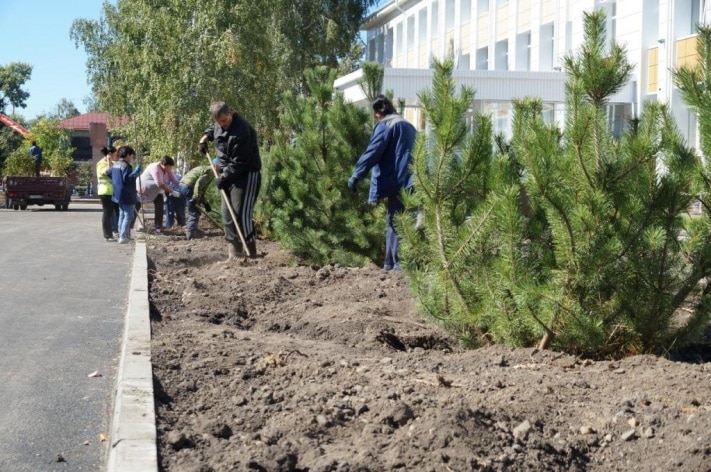 Зелень в городе, Томские новости, Боле 8 тыс. саженцев высадят в Томске осенью Боле 8 тыс. саженцев высадят в Томске осенью