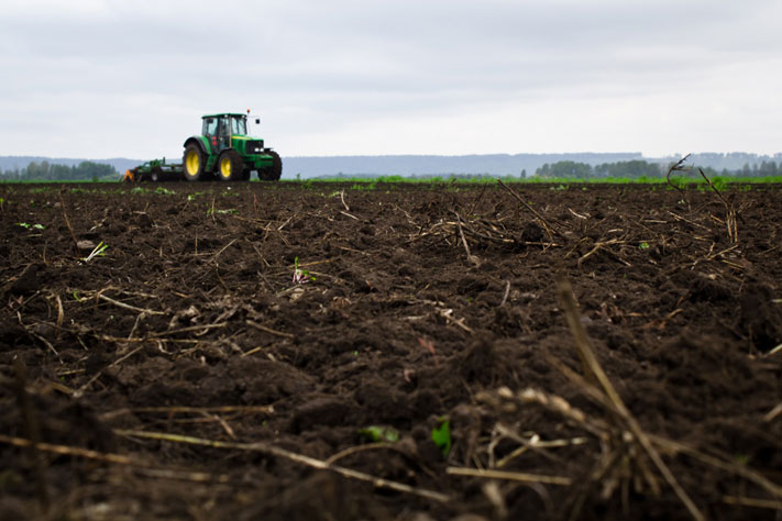 Томская область не подходит для ведения сельского хозяйства - правительство