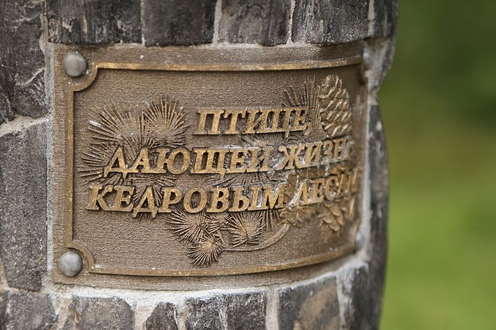 Памятник_кедровке