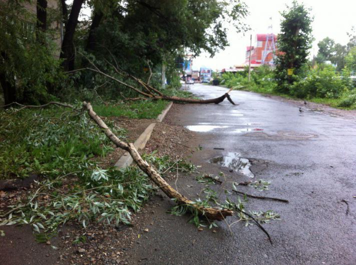 Городское благоустройство, Томские новости, ветки шторм погода в Томске упали деревья Томские дороги очистили от упавших деревьев и веток