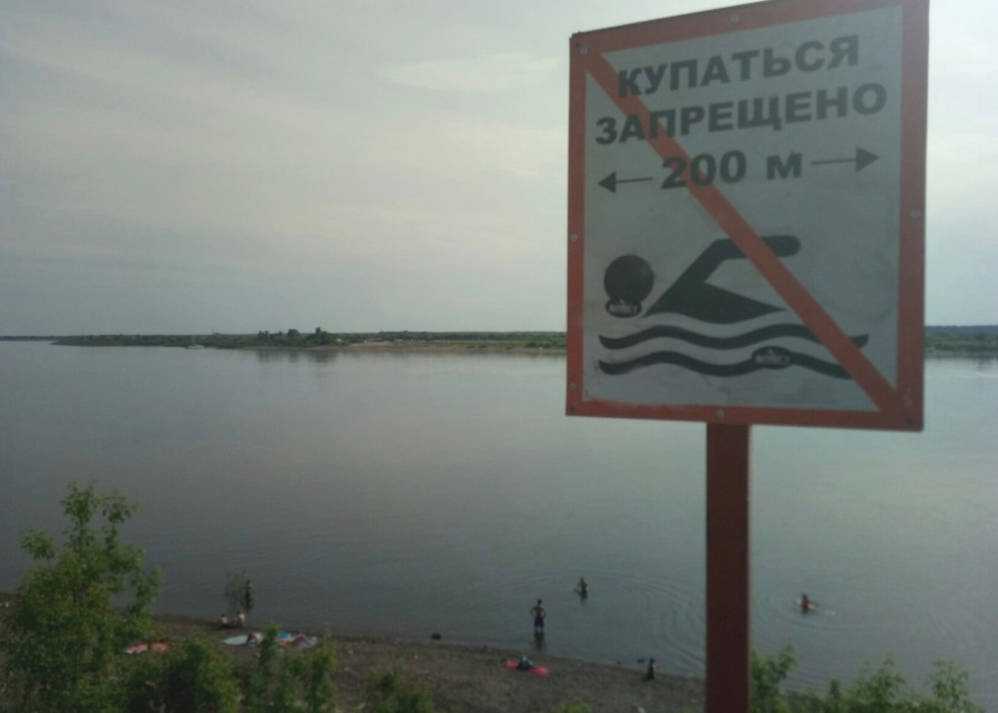 Отдых, Томские новости, семейкин остров пляж отдых Завтра открывается главный пляж Томска, но купаться там запрещено