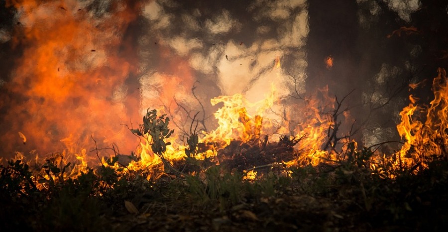 Лесные пожары, Томские новости, пожар огонь лес горит лесные пожары Большинство лесных пожаров в Томской области произошло из-за местного населения - власти