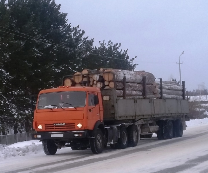 Происшествия, Томские новости, поддельные права купил права КамАЗ лесовоз На трассе Томск-Колпашево поймали водителя КамАЗа с поддельными правами