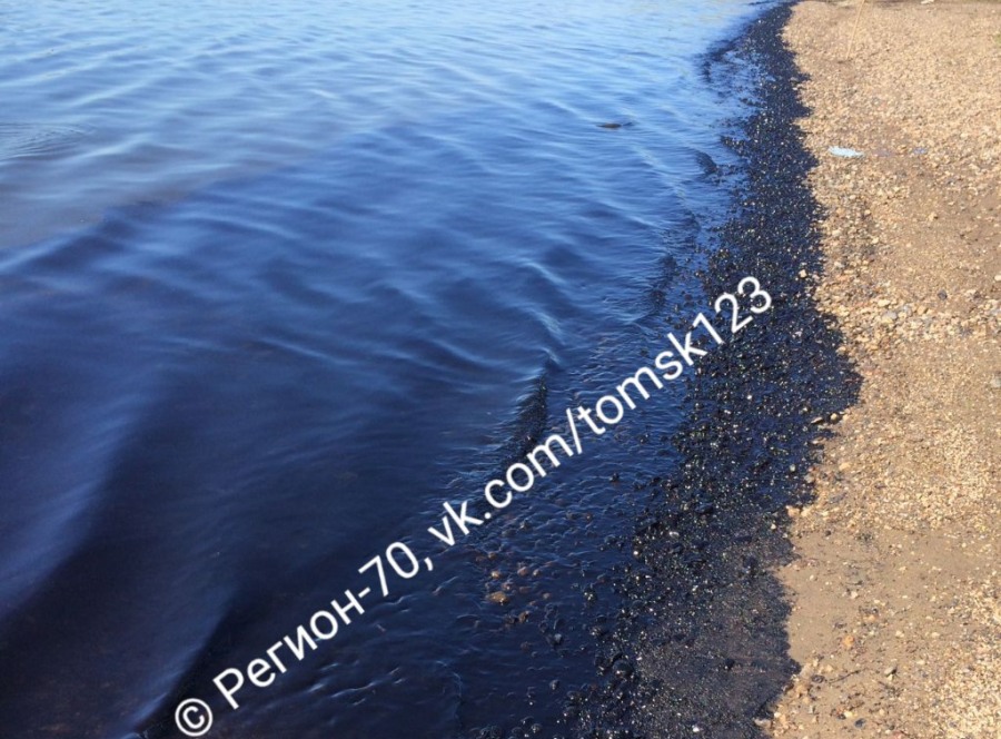 Природа, Томские новости, Томь река загрязнение нефть Более 900 кв.метров берега Томи загрязнено нефтью в Томской области