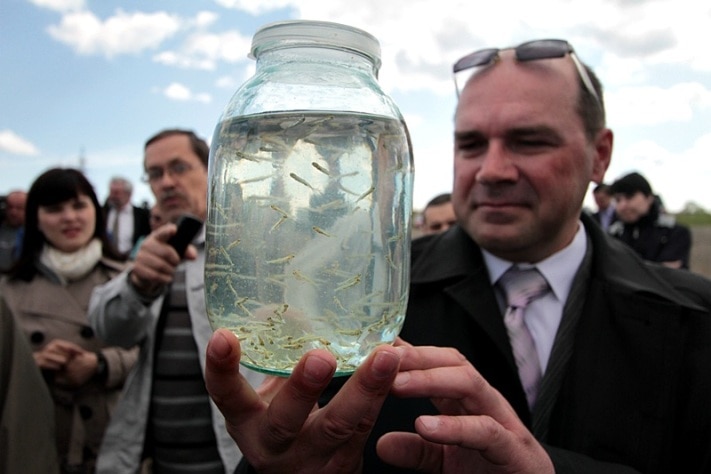 Предприятия Томска и области, Томские новости, рыбозавод инвестиции консервы карась в собственном соку В этом году в Томской области достроят два рыбозавода