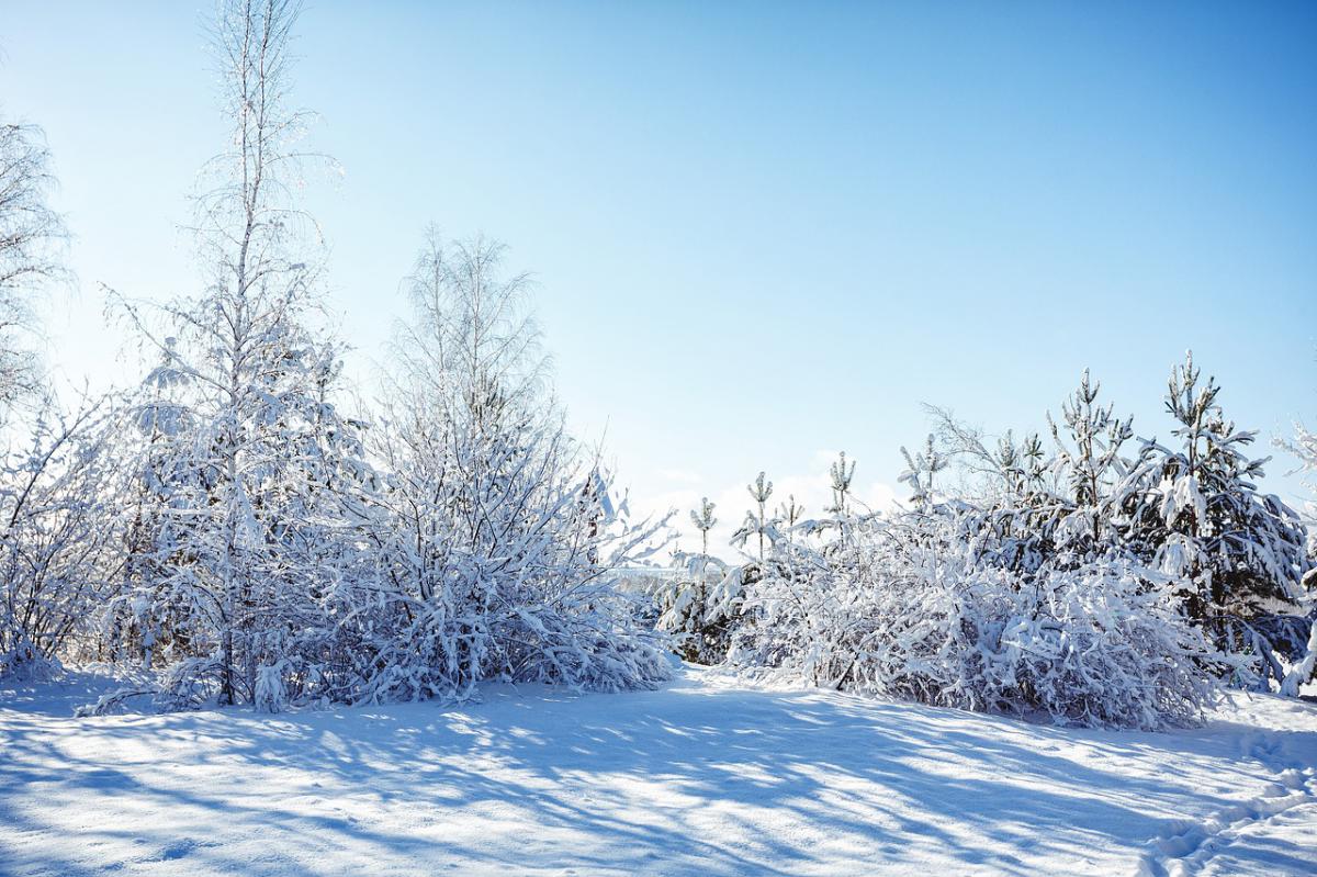 Погода и природа, Томские новости, морозы погода мчс предупреждает Оперативное предупреждение: с 19 по 24 января в Томской области будут сильные морозы