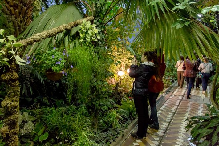 Томские новости, оазис выставка ботанический сад растения Томичам расскажут, как создать оазис в Сибири