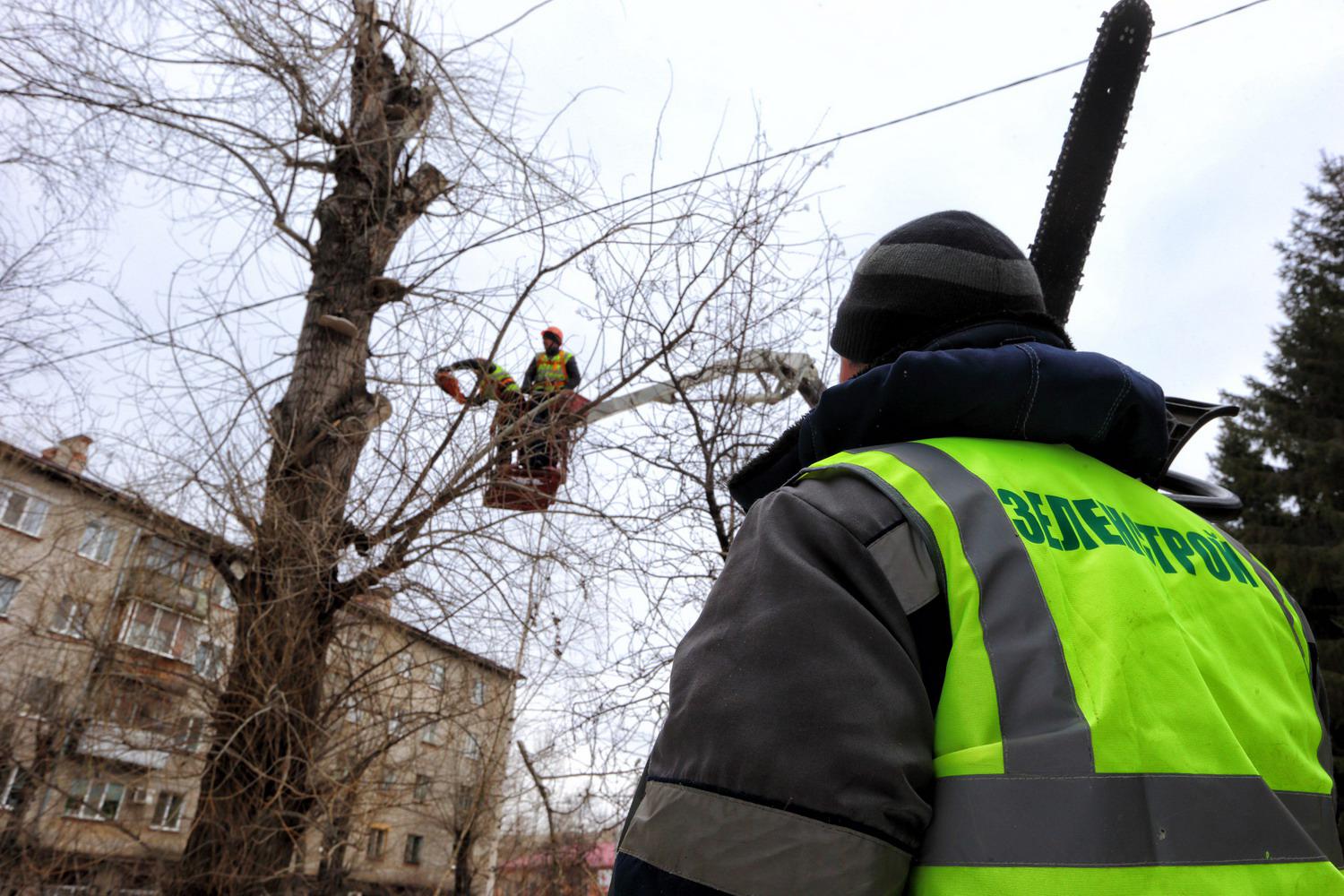 Зелень в городе, Томские новости, яковлева сносят деревья рубят деревья В Томске на ул.Яковлева сносят и подрезают старые деревья