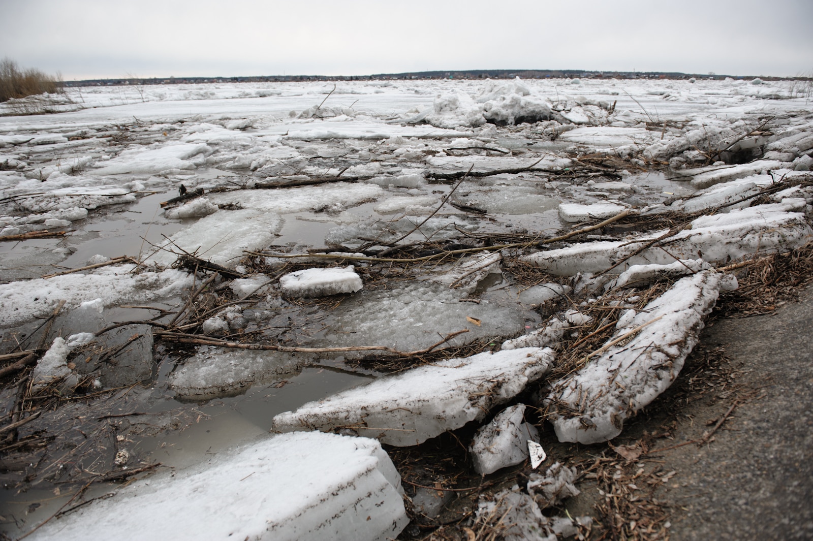 Паводок, Томские новости, паводок уровень воды опасный смоет затопит ледоход Томь вскрылась Томичей предупреждают о возможном подъеме уровня воды в Томи