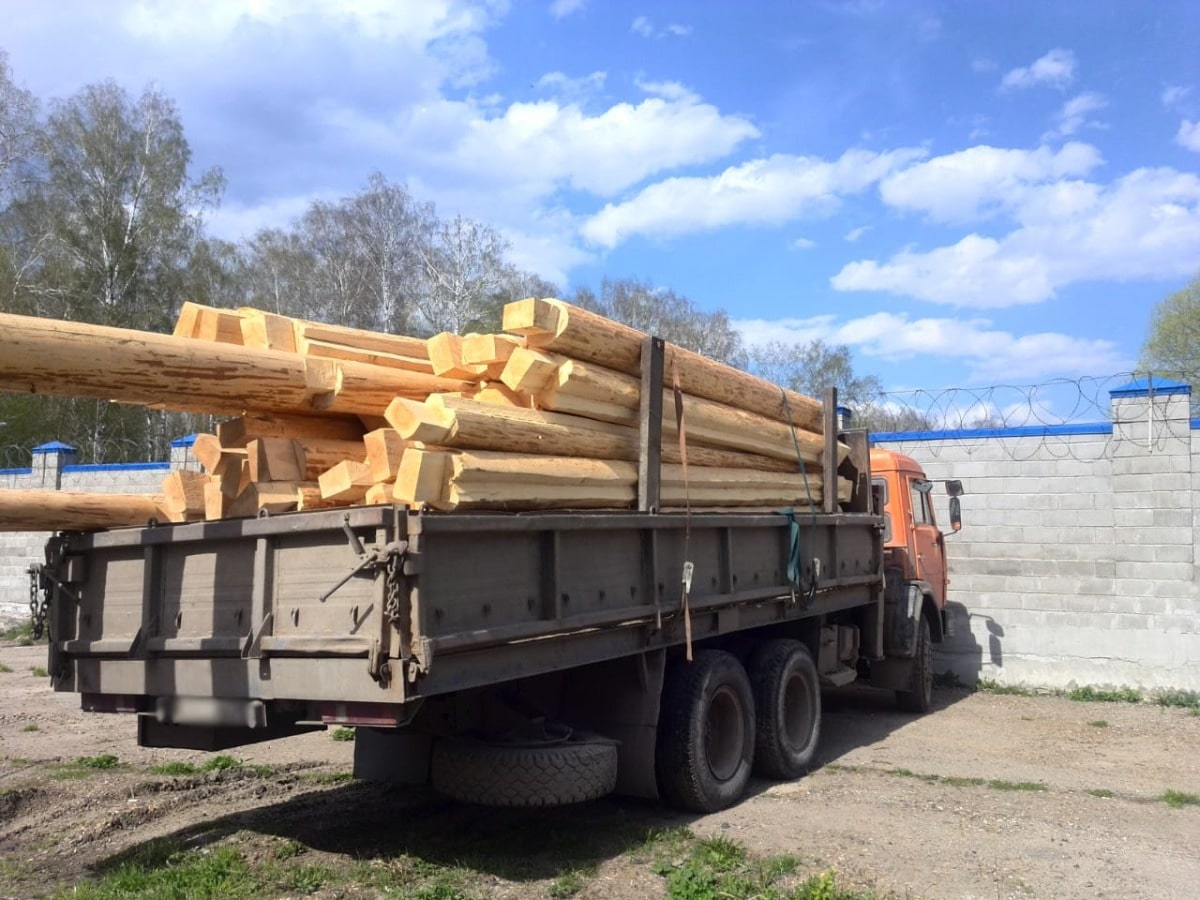 Криминал, Томские новости, 870 тыс. рублей вырубка лесные насаждения В Тимирязевском лесничестве незаконно вырубили деревьев на более чем 870 тыс.рублей