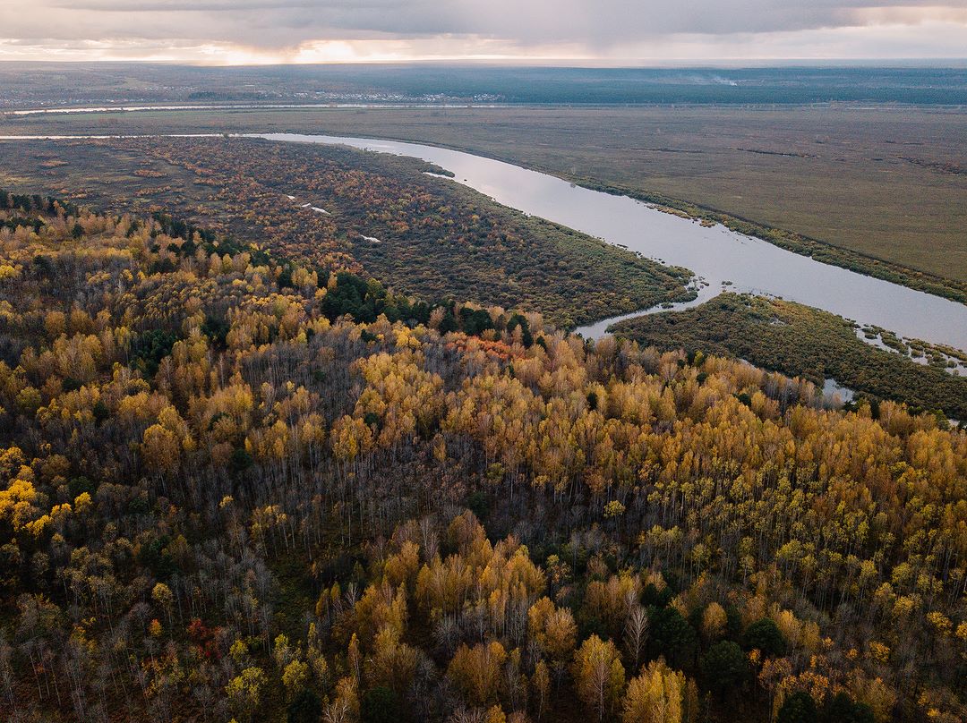 Власть, Природа, Томские новости, арендатор леса китайцы рубят лес природные ресурсы Томская область больше не сотрудничает с китайским арендатором леса