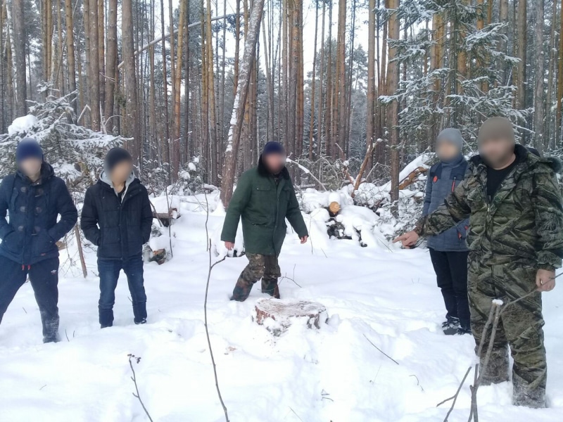 Криминал, Томские новости, лесорубы черные лесорубы рубят деревья вырубка задержали Задержаны лесорубы, подозреваемые в незаконных вырубках деревьев в Томской области