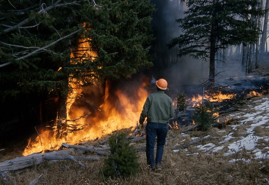 Лесные пожары, Томские новости, лесные пожары потушили В выходные в Томской области ликвидировали девять лесных пожаров