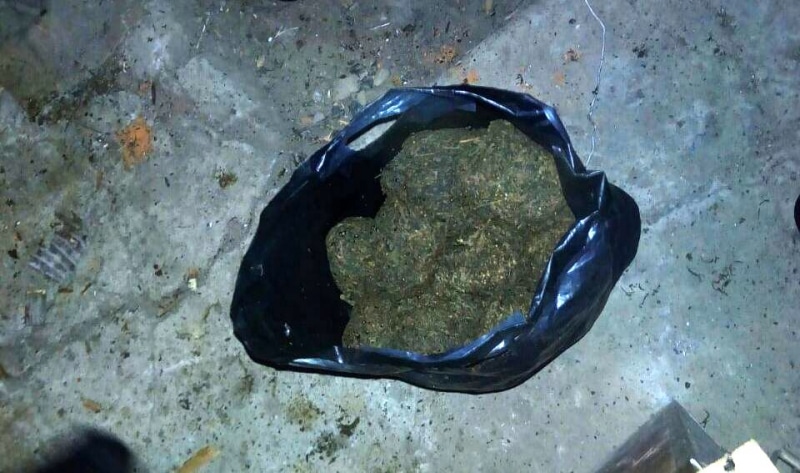 Криминал, Томские новости, марихуана наркотики задержали 1,2 кг конопля У жителя Томской области нашли 1,2 кг марихуаны