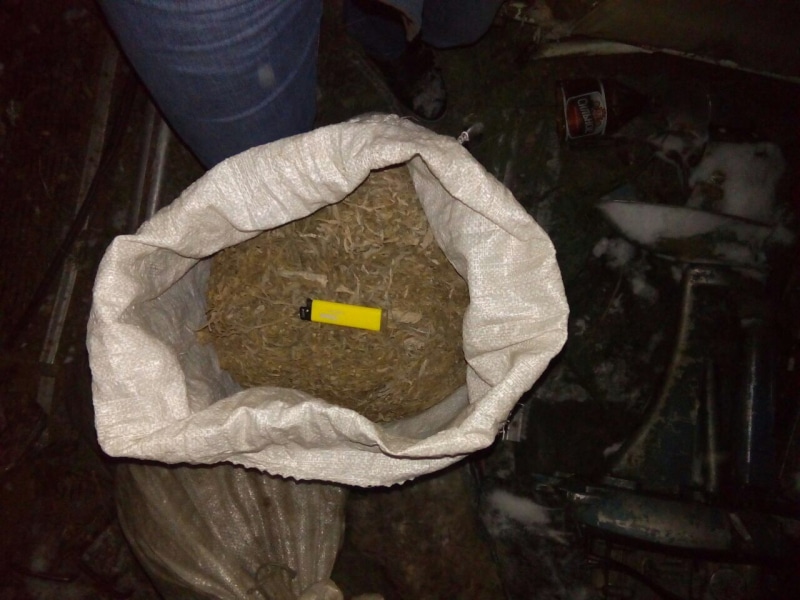 Криминал, Томские новости, наркотики марихуана задержали конопля травокур Полицейские нашли почти 5 кг марихуаны у жителя Томской области