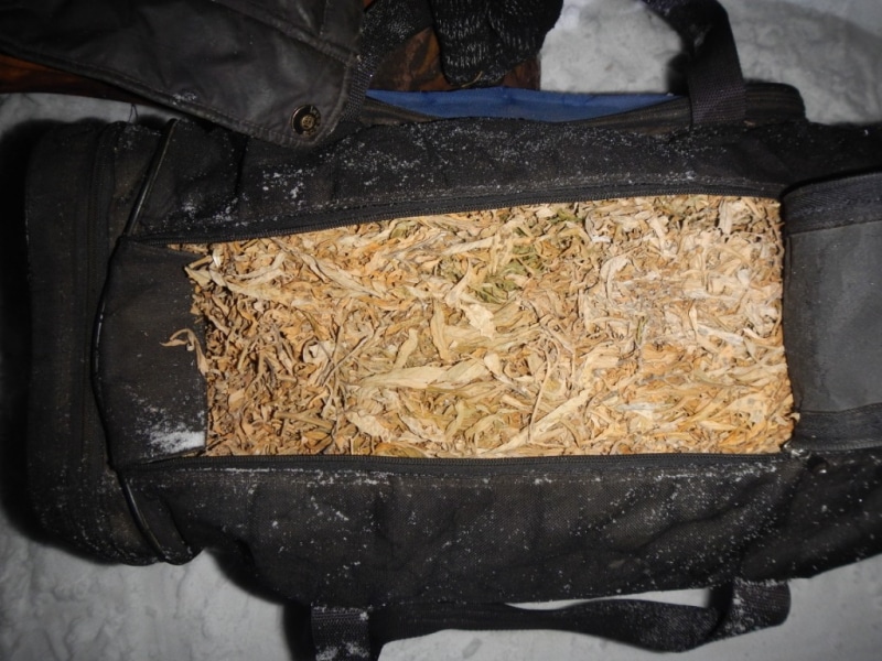 Криминал, Томские новости, происшествия криминал наркотики задержали конопля купили в деревне В Томской области полицейские задержали парней с двумя сумками марихуаны