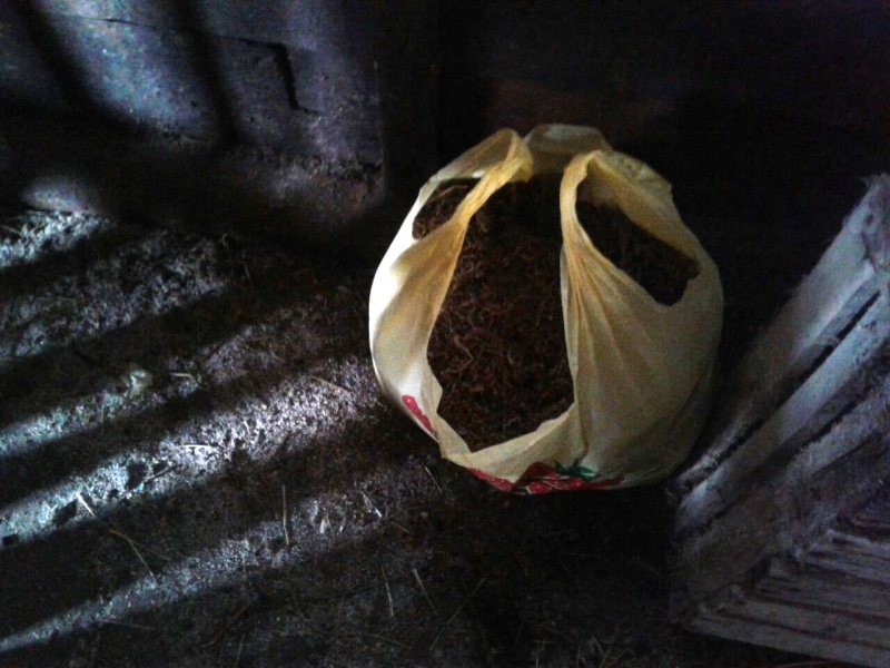 Криминал, Томские новости, марихуана запрещенные вещества марушка конопля У жителя Томской области нашли 3,5 кг марихуаны