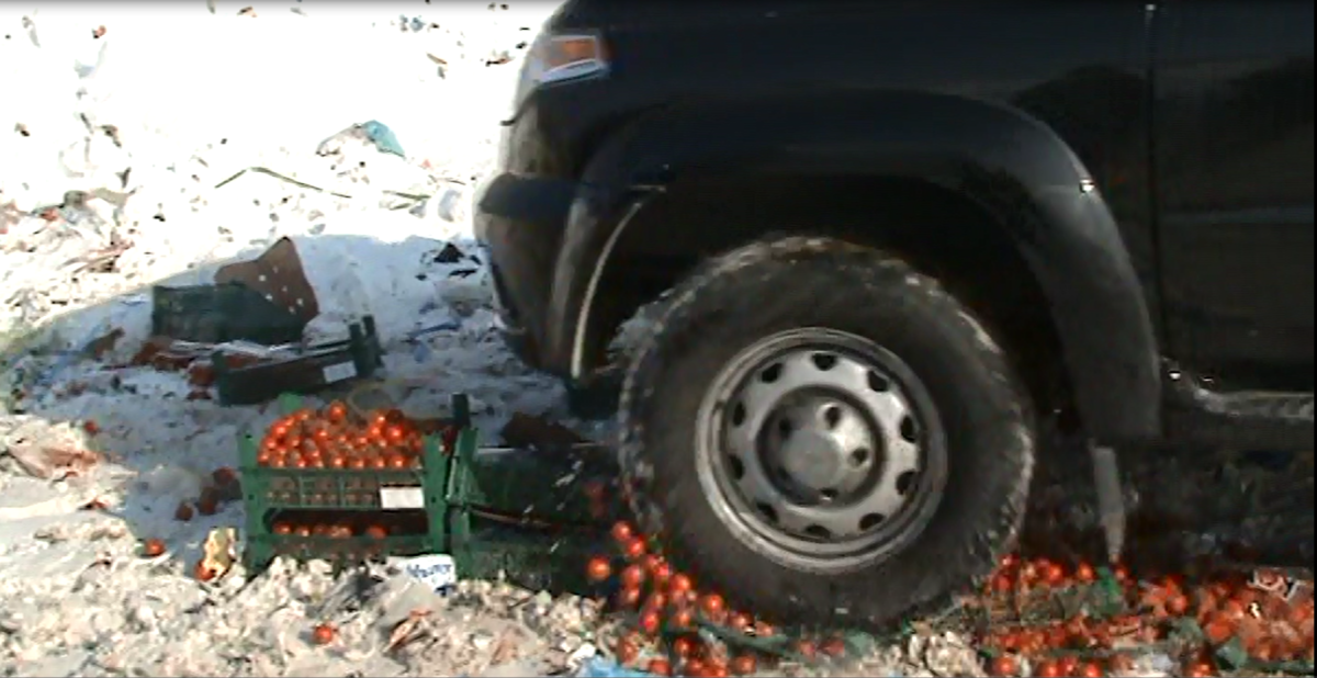 Еда, Томские новости, уничтожили еда томаты раздавили санкицонка В Томске уничтожили 130 кг санкционных томатов (ВИДЕО)